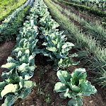 Photo n°1 de l'avis de SteV.i fait le 26/08/2018 à 06:07 sur le  Albergo Oberraut Ristorante à Bruneck