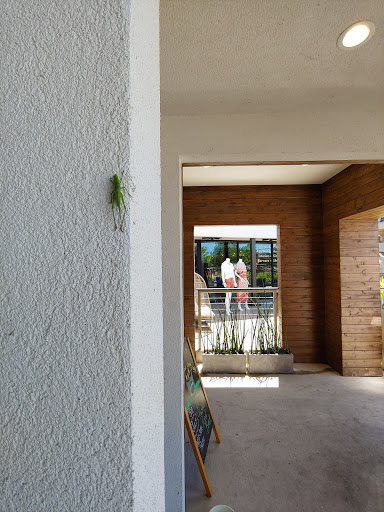 Shopping Mall «Casis Shopping Center», reviews and photos, 2727 Exposition Blvd # 101, Austin, TX 78703, USA