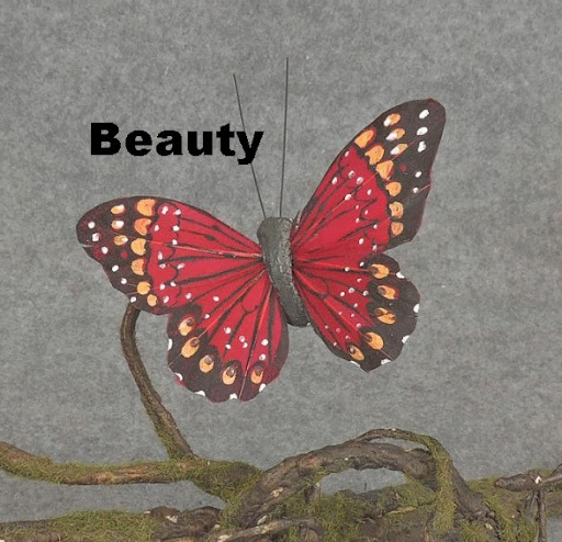 Florist «FloralSupply.com», reviews and photos, 1570 Nicholls Rd, Fruit Heights, UT 84037, USA