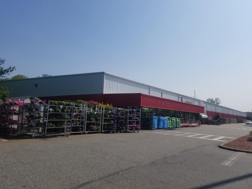 BJ's Wholesale Club