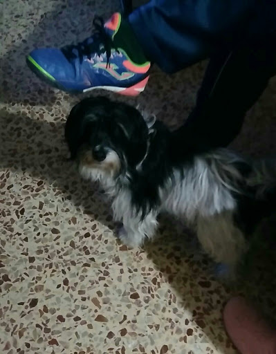 Exotica en Tavernes de la Valldigna, Valencia