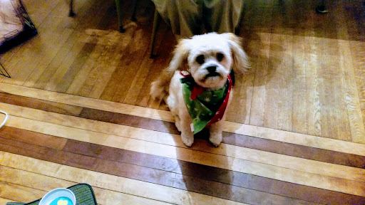 Pet Supply Store «Petco Animal Supplies», reviews and photos, 3870 N 124th St, Wauwatosa, WI 53222, USA