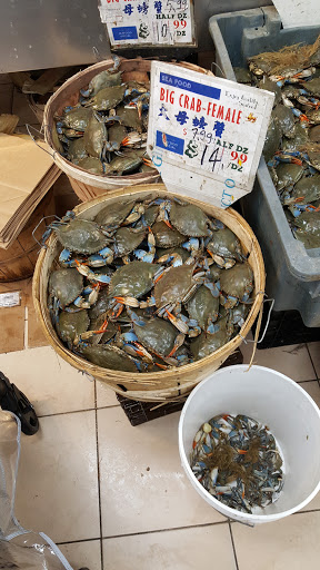 Asian Grocery Store «New Golden Sparkling Supermarket», reviews and photos, 8618 Broadway, Elmhurst, NY 11373, USA