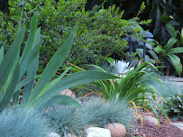 Terry Key Landscape Design and Consultation - Photo 8 - Car repair in , Fresno