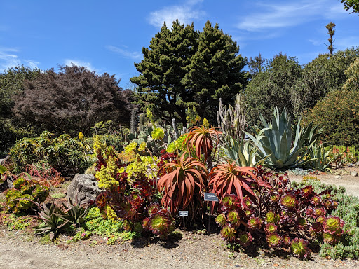 Tourist Attraction «Mendocino Coast Botanical Gardens», reviews and photos, 18220 CA-1, Fort Bragg, CA 95437, USA