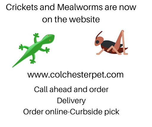 Pet Store «Colchester pet Shop LLC», reviews and photos, 111 Loomis Rd #2a, Colchester, CT 06415, USA