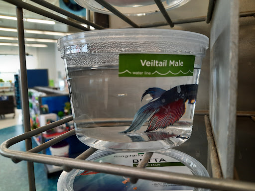 Pet Supply Store «Petco Animal Supplies», reviews and photos, 753 53rd Ave NE, Fridley, MN 55421, USA