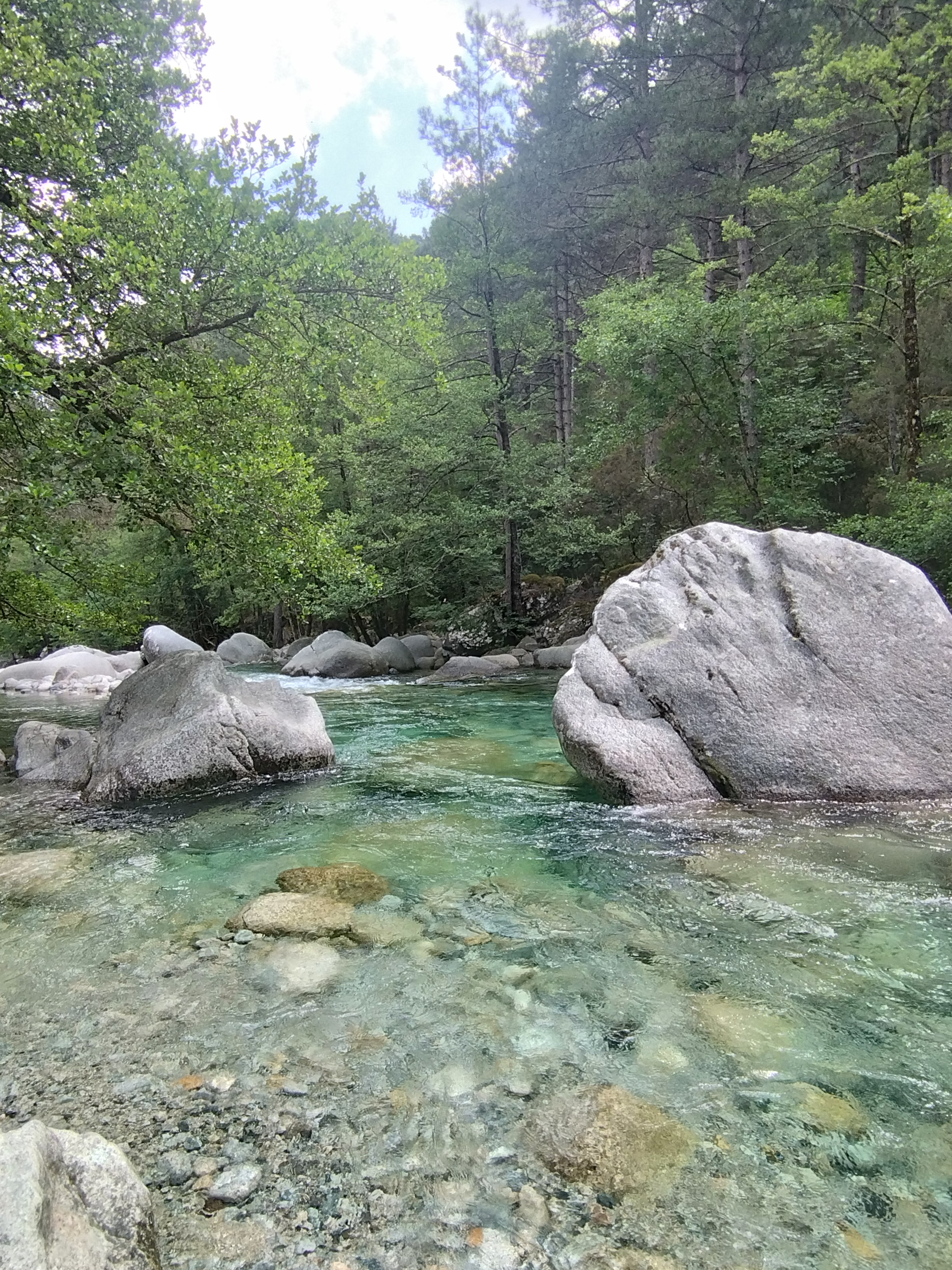 Photo n° 1 de l'avis de Valérie.e fait le 19/06/2023 à 09:33