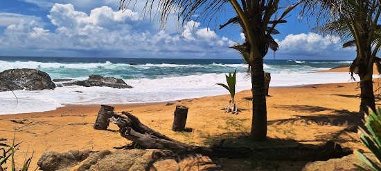Radin Pearl Beach