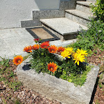 Photo n°4 de l'avis de Marika.a fait le 03/06/2019 à 10:58 sur le  Ristorante Ponte Bria à Omegna