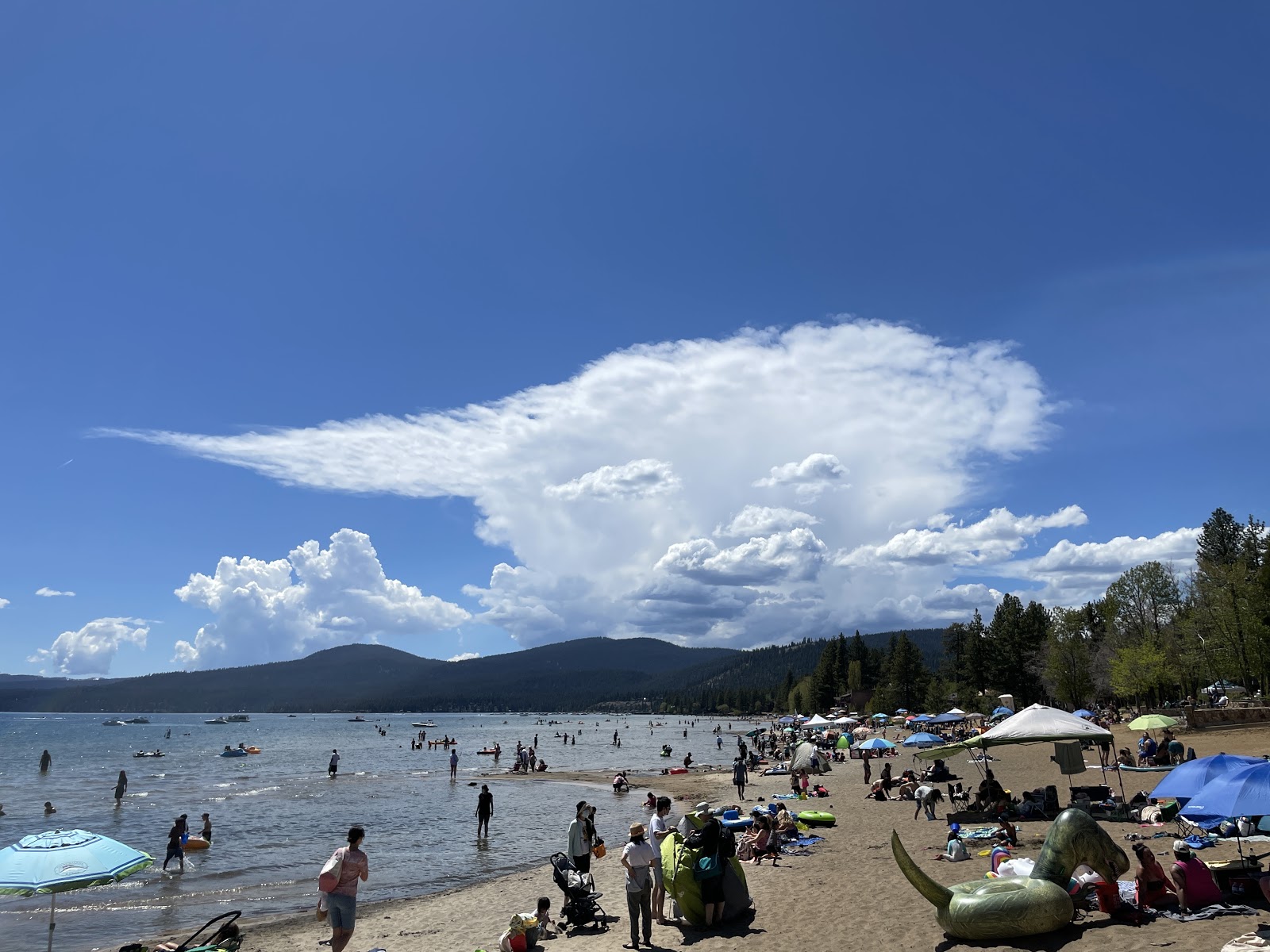 Fotografija North Tahoe Beach z svetel pesek površino