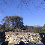 Photo n° 4 de l'avis de Loic.h fait le 24/01/2019 à 13:23 pour Restaurant Le Tilleul à Saint-Paul-de-Vence