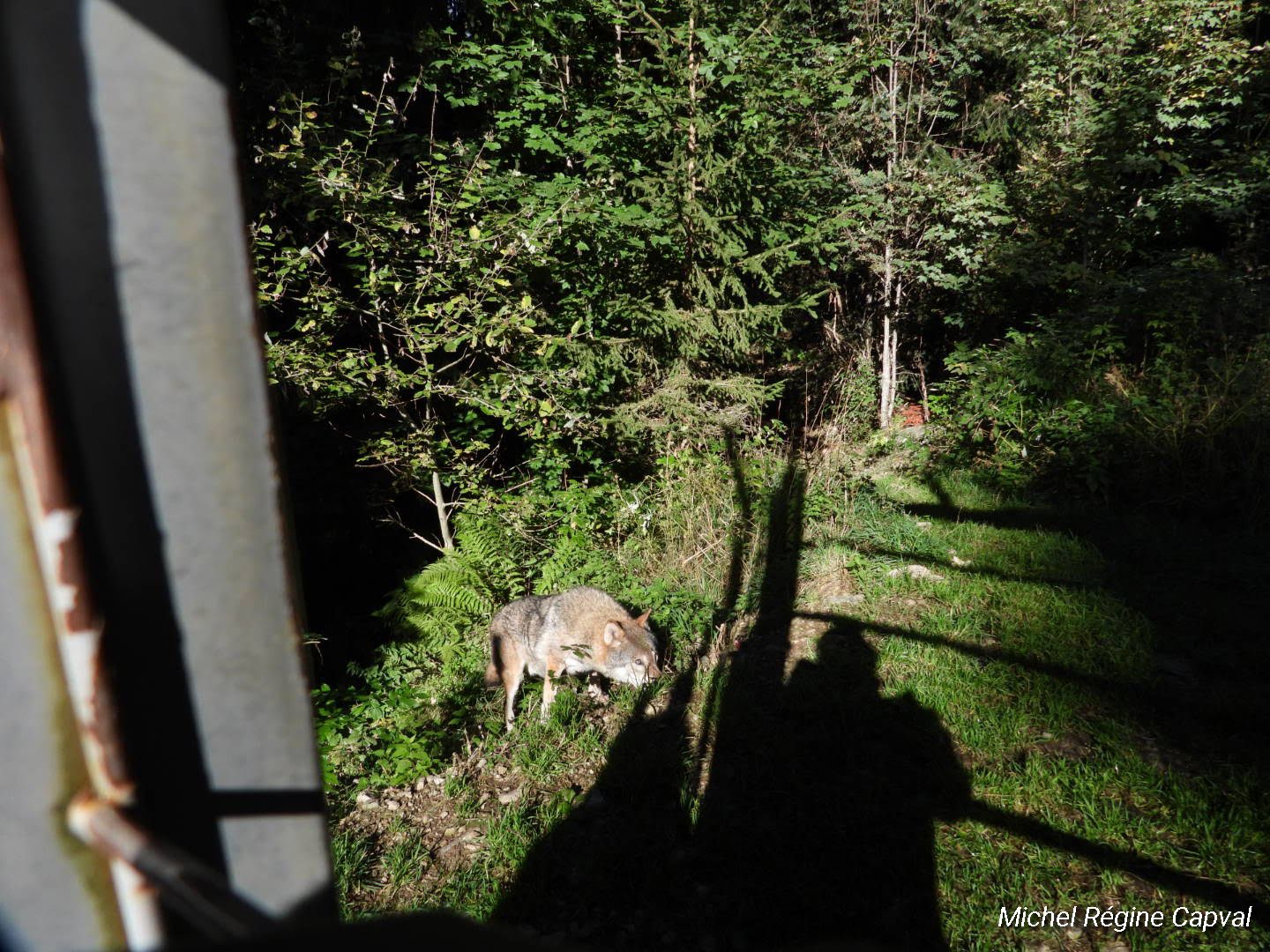 Photo n° 29 de l'avis de michel.a fait le 03/10/2019 à 13:25