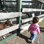 Photo n°1 de l'avis de Maria.a fait le 30/10/2022 à 13:13 sur le  Agriturismo La Soldanella à Rosta