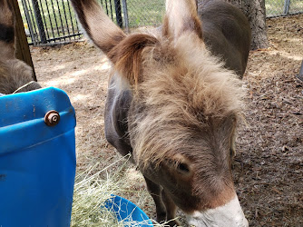 Animal Connection Experience at Fritz Park