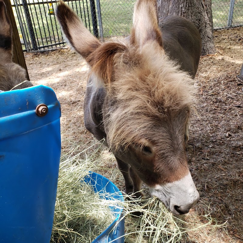 Animal Connection Experience at Fritz Park