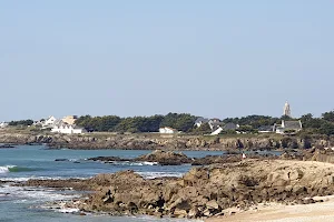 The wild coast image