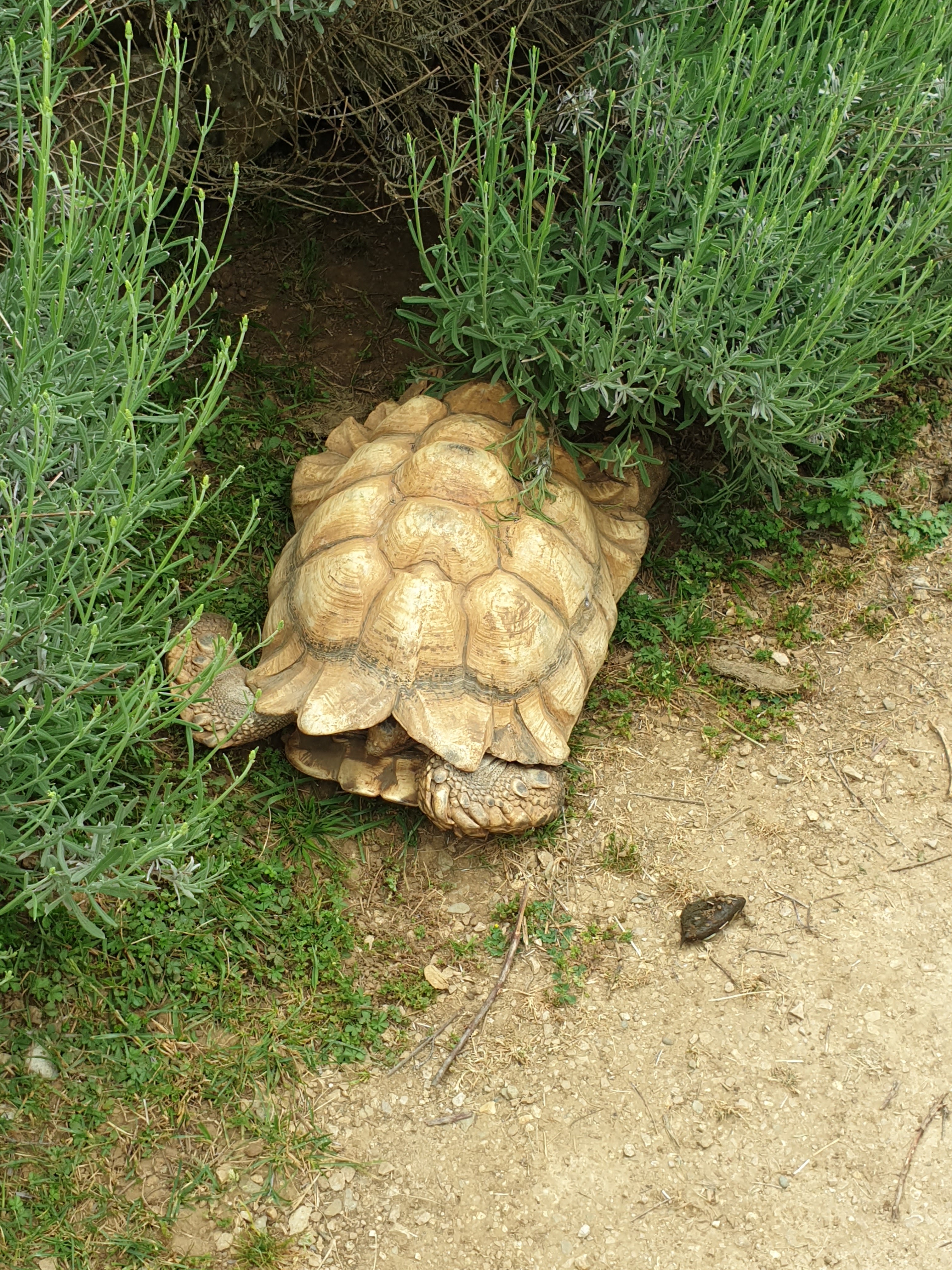 Photo n° 2 de l'avis de BN.s fait le 26/05/2022 à 17:33