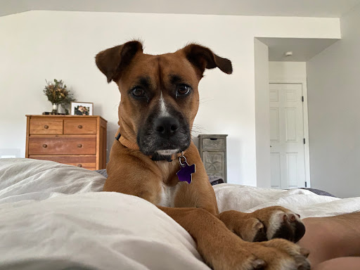 18340 Texas 46, Spring Branch, TX 78070, USA