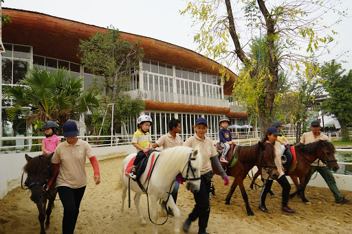 Horse riding schools Bangkok