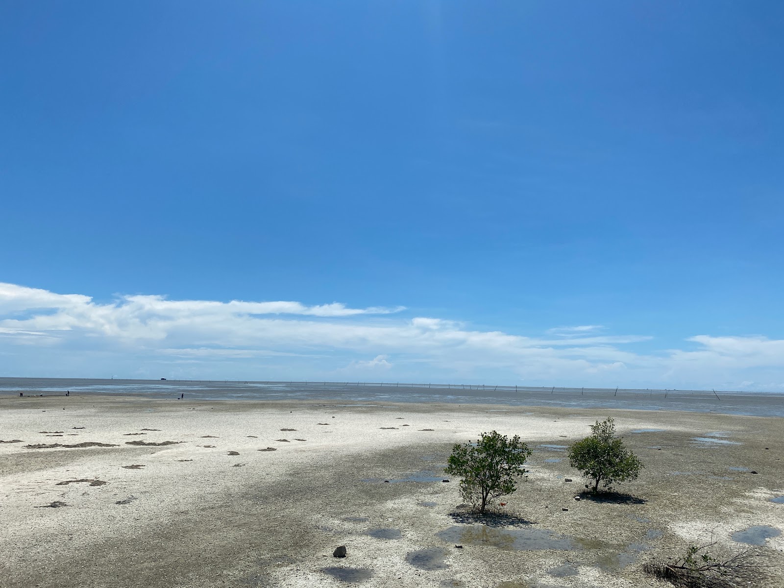 Redang Sekinchan Beach'in fotoğrafı ve yerleşim