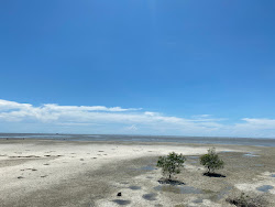 Redang Sekinchan Beach'in fotoğrafı ve yerleşim