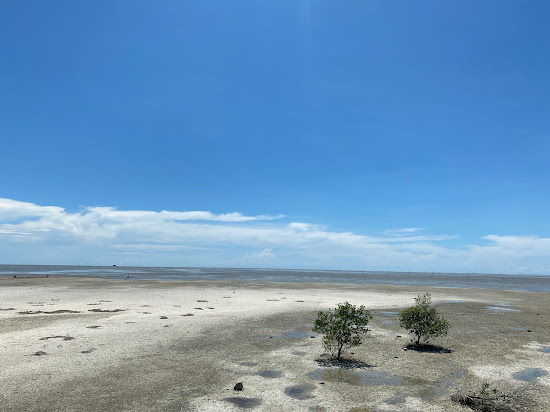Redang Sekinchan Beach