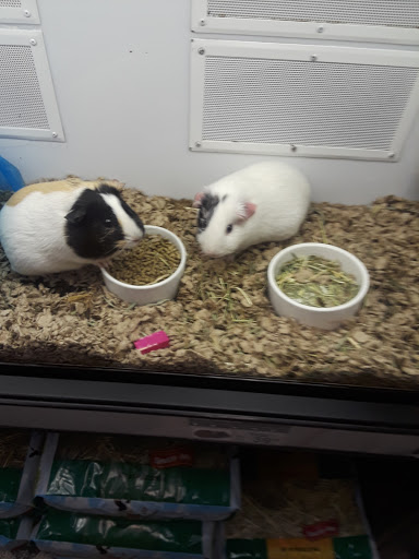 Pet Supply Store «Petco Animal Supplies», reviews and photos, 2000 NE Burnside Rd, Gresham, OR 97030, USA