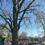 Photo n°2 de l'avis de CR. fait le 17/04/2022 à 20:48 sur le  Schloss Diedersdorf à Grossbeeren