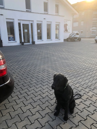 Veterinary practice Holger Weiß unter Bensheim, 