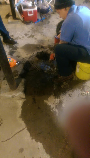 Plumber «Roto-Rooter Plumbing & Drain Services», reviews and photos, 756 Brownsville Rd, Pittsburgh, PA 15210, USA