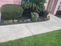 Mo'Bros Lawn Specialists - Photo 2 - Car repair in , Pensacola