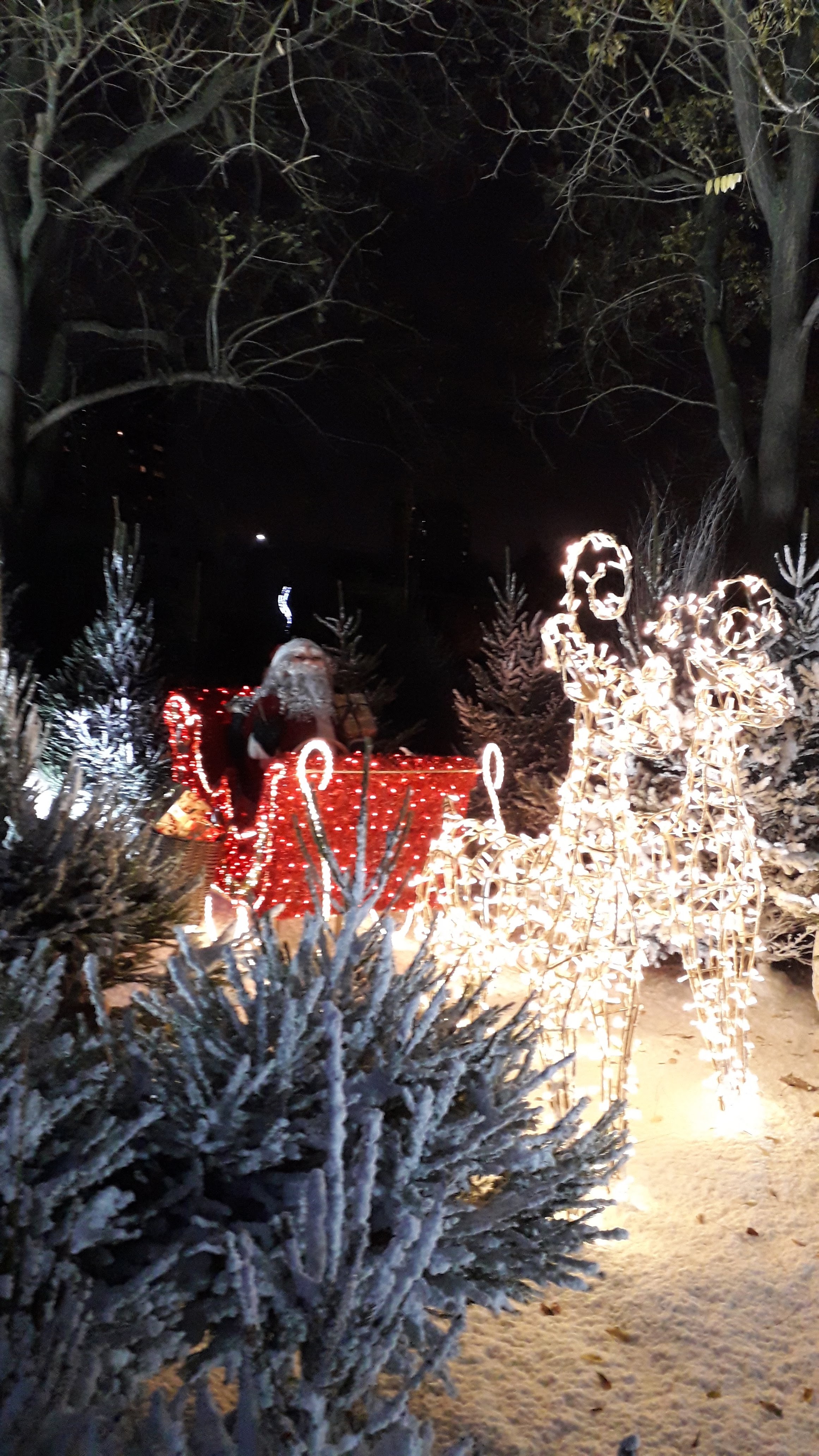 Photo n° 1 de l'avis de Lillo.a fait le 02/12/2018 à 14:13