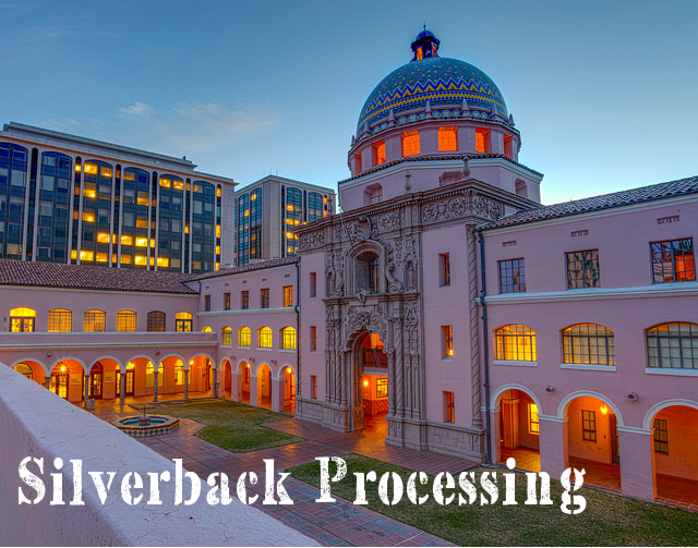 Silverback Processing