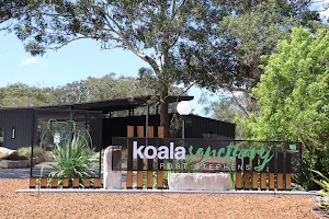 Port Stephens Koala Sanctuary image