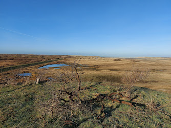 Bungalowpark Tamarisk