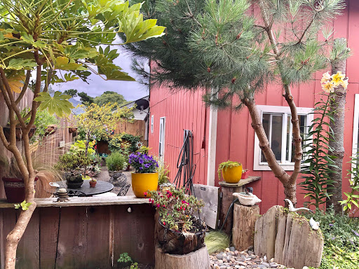 Bar & Grill «Snug Harbor Bar and Grill», reviews and photos, 5001 SW Hwy 101, Lincoln City, OR 97367, USA