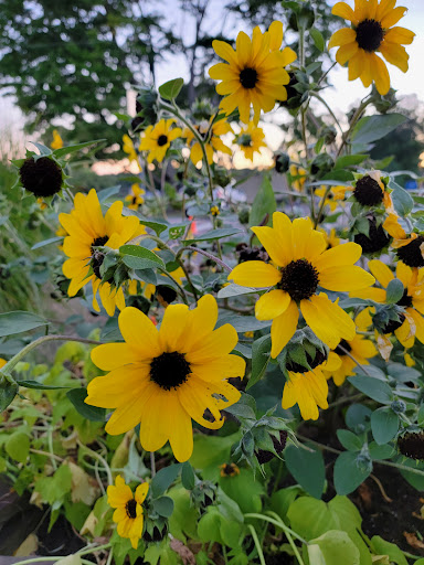 Public Golf Course «Turkeyfoot Golf Course», reviews and photos, 294 W Turkeyfoot Lake Rd, Akron, OH 44319, USA