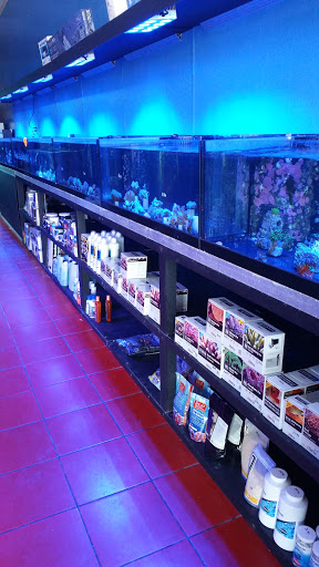 Tropical Fish Store «All Seas Aquariums», reviews and photos, 1165 W 49th St #104, Hialeah, FL 33012, USA