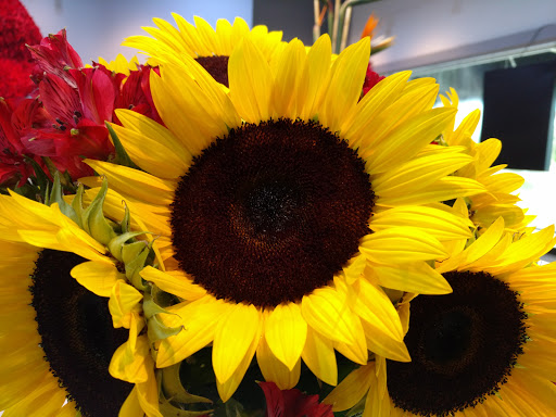 Florist «Flowers and Services», reviews and photos, 13750 Biscayne Blvd, North Miami Beach, FL 33181, USA