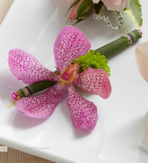 Florist «Cumberland Flowers», reviews and photos, 11817 E Washington St, Indianapolis, IN 46229, USA