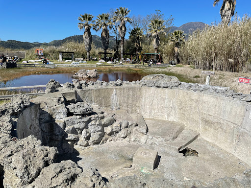 Tourist Attraction «Old Faithful Geyser of California», reviews and photos, 1299 Tubbs Ln, Calistoga, CA 94515, USA