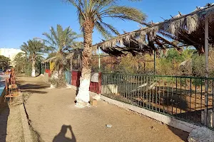 Zoo Biskra image