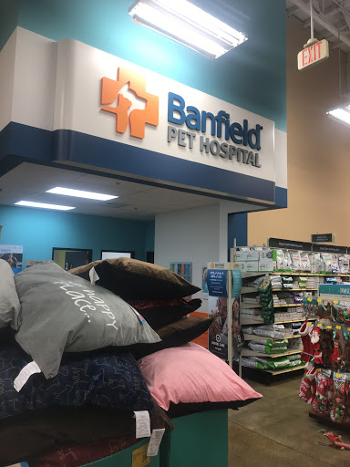 Pet Supply Store «PetSmart», reviews and photos, 1954 Santa Rosa Ave, Santa Rosa, CA 95407, USA