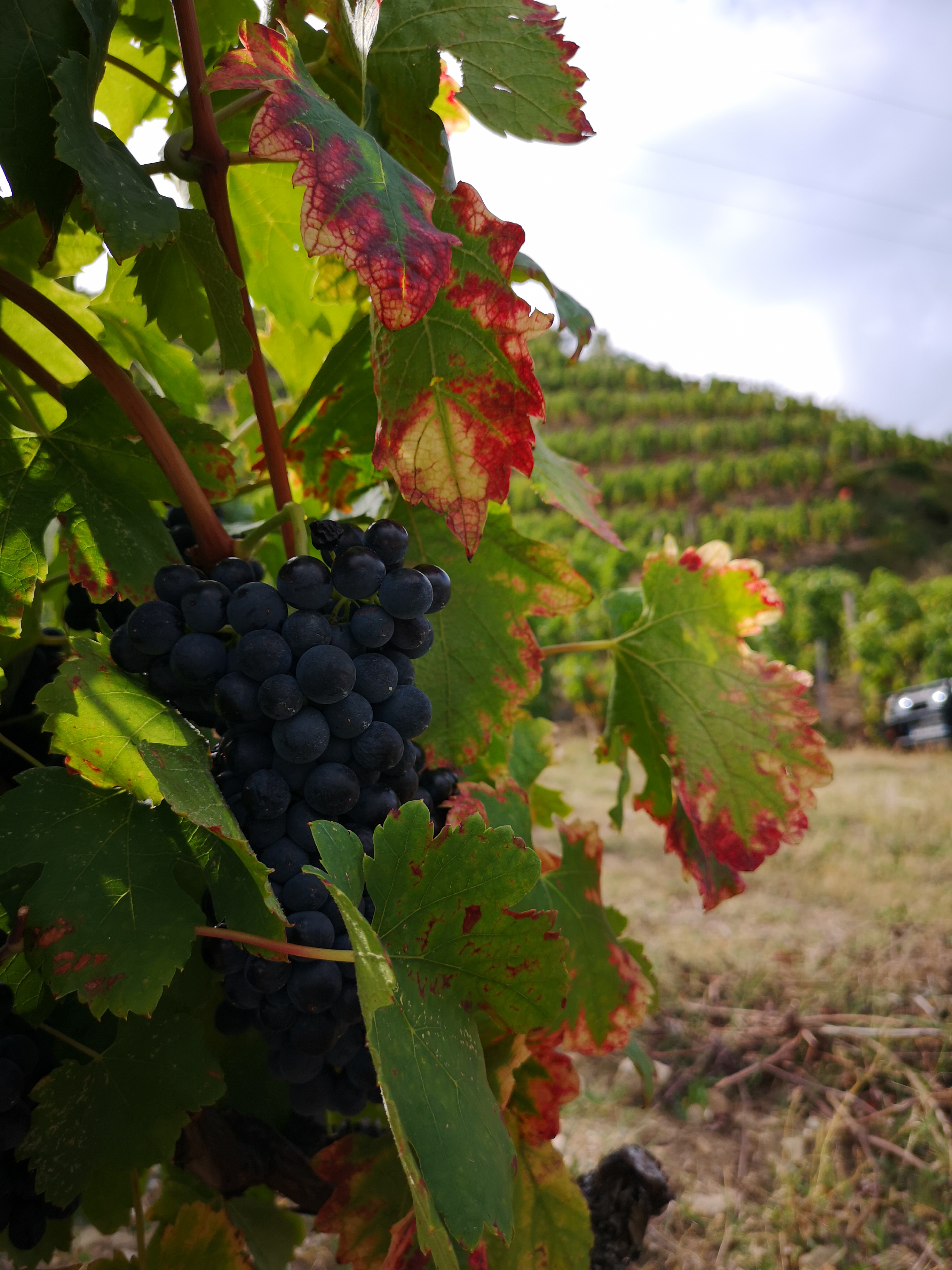 Photo n° 6 de l'avis de Flavio.O fait le 02/10/2019 à 15:29