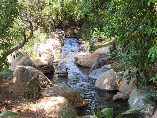 Park «Margaret T. Hance Park», reviews and photos, 67 W Culver St, Phoenix, AZ 85003, USA