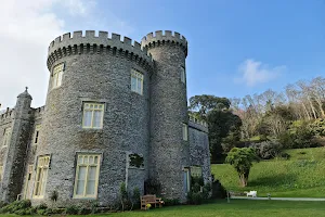 Caerhays Castle image