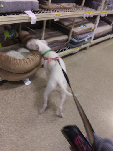 Pet Supply Store «PetSmart», reviews and photos, 255 Los Altos Pkwy, Spanish Springs, NV 89436, USA