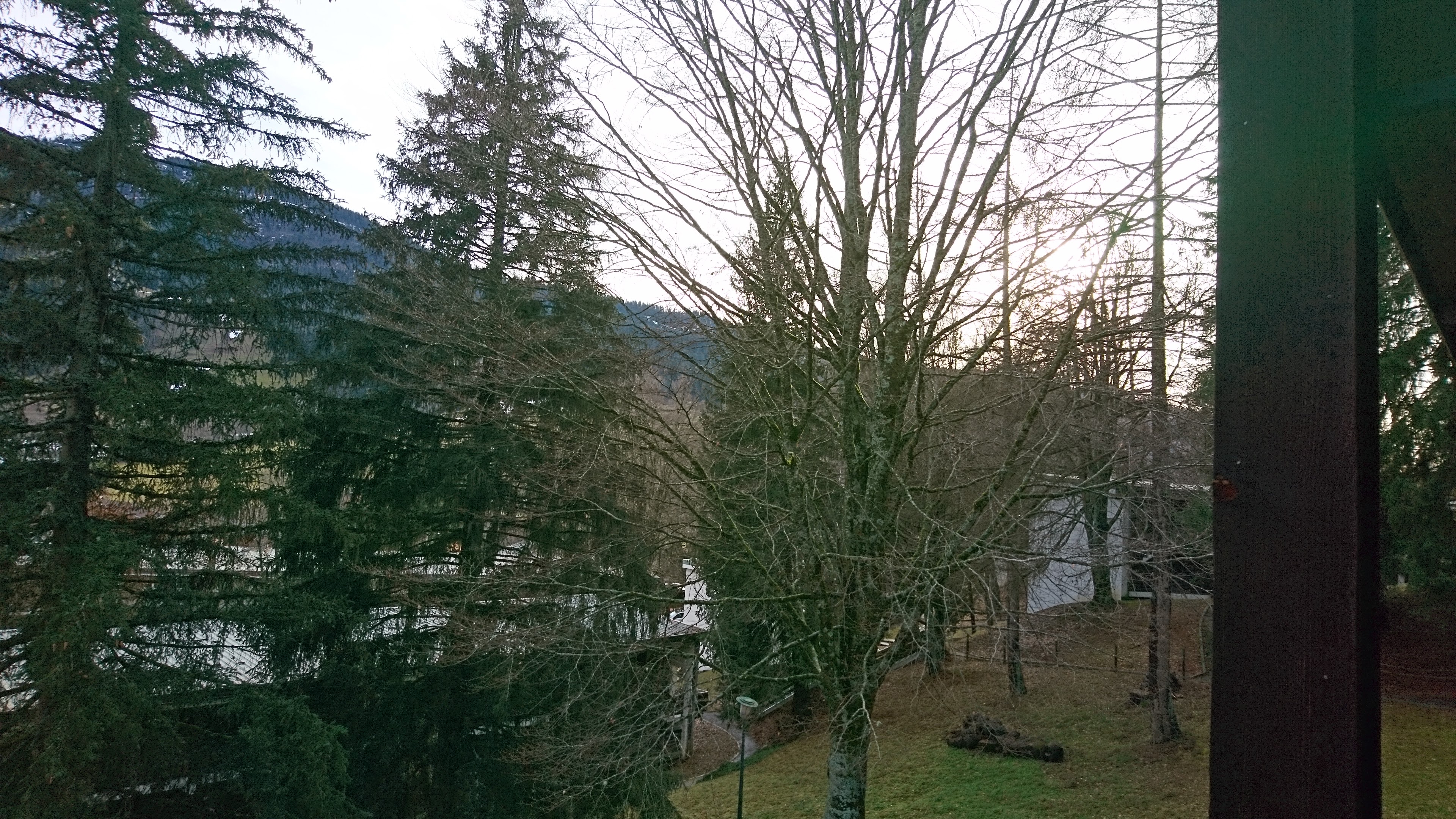 Photo n° 3 de l'avis de cuillier.s fait le 15/01/2023 à 22:56
