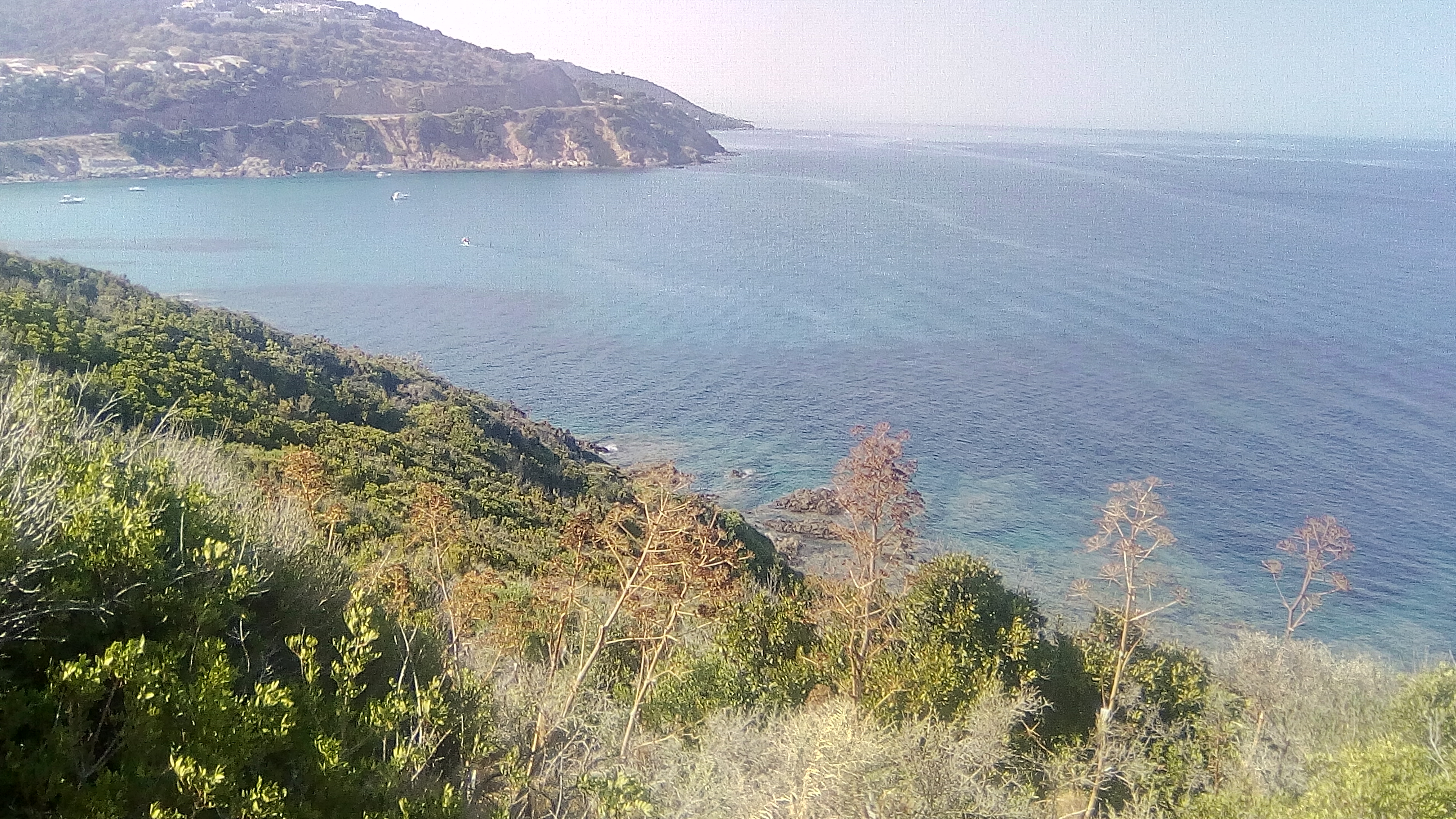 Photo n° 3 de l'avis de Alexis.e fait le 23/08/2017 à 20:00